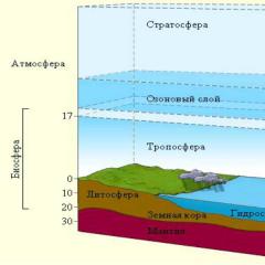 The structure and properties of the biosphere Colorize the biosphere on a geography map