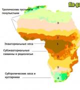 Zonaliteti gjeografik dhe zonaliteti mbidetar në mbështjellësin gjeografik