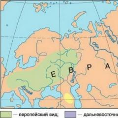 Meccanismi di tipi di adattamento biochimico