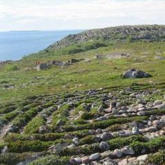 Fragment i një UFO.  Tungsten nga Hapësira.  Aventurat dhe përplasjet e pabesueshme të UFO-ve në BRSS 