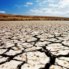 Tema del progetto: la terra diventerà un deserto?