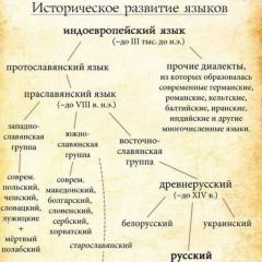 La lingua russa è la lingua nazionale del popolo russo